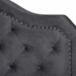 Buy 🧨 Queen Baxton Studio Samantha Upholstered Button Tufted Panel Bed 😀 -Beds Shop detail2WSI4935